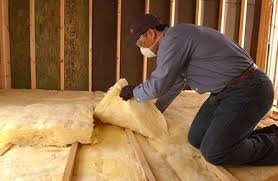 Best Insulation Removal  in Gooding, ID